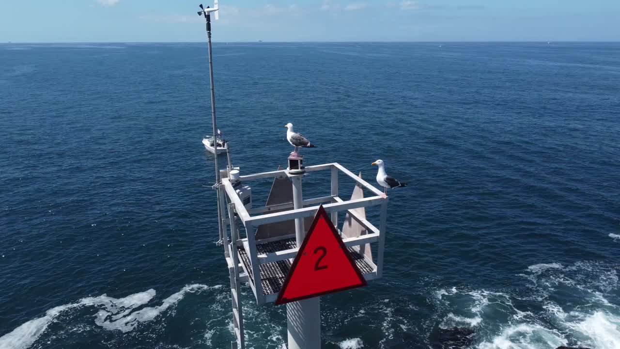 lbc 선착장에서 캘리포니아 카탈리나 섬까지 긴 해변 스피드보트 경주 - 8