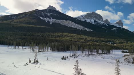 aerial of valley trees with forested area and mountains, canadian rockies, alberta