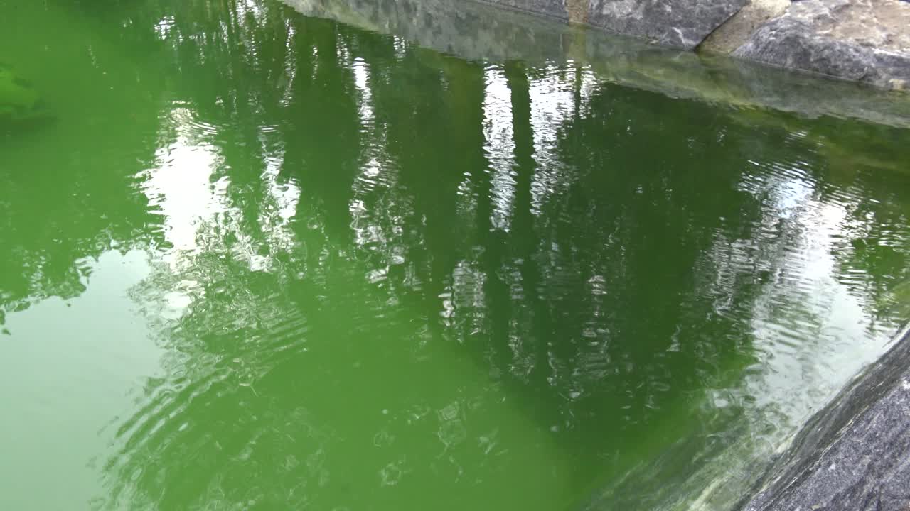 수영장 표면에 떨어지는 가벼운 빗방울