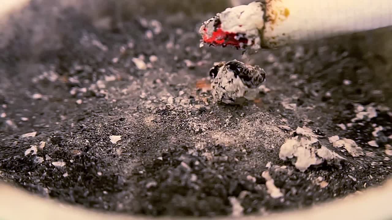 재통에 담배를 는 느린 동영상 (iphonepro12max4k30fps)