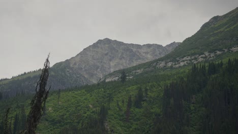 High-mountain-peak-above-mountain-forest