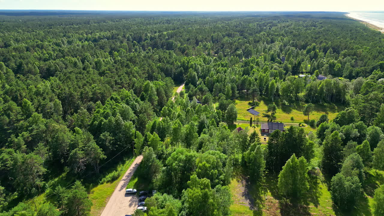 Panoramic Aerial View of a Vast Green Forest with a Rural Road and Scattered Houses leading to a Distant Coastline