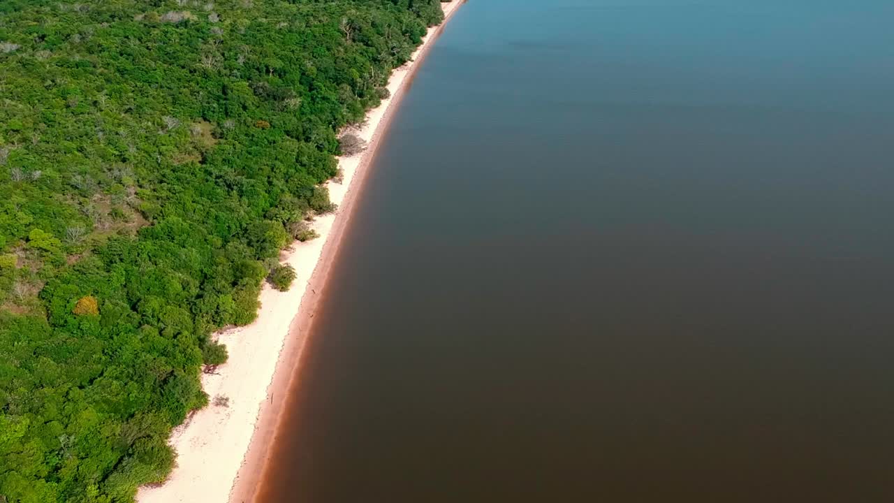 Aerial View of a Tropical Rainforest Coastline