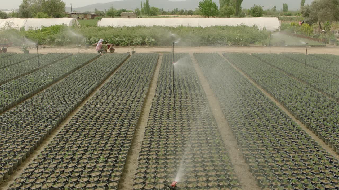 cultivos irrigados y trabajadores agrícolas en una granja industrial.