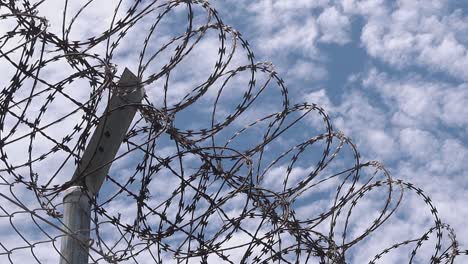 close shot of a barbed wire fence with fluffy clouds in the background