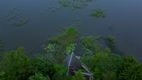 aerial view of an architecture by the creek with dense vegetation