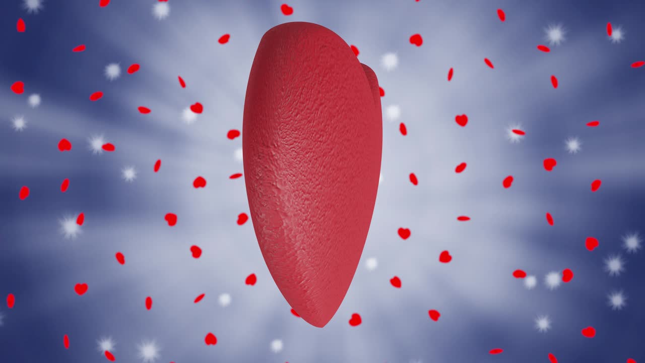 Love. Valentine's day. Heart  - Videos, footage.