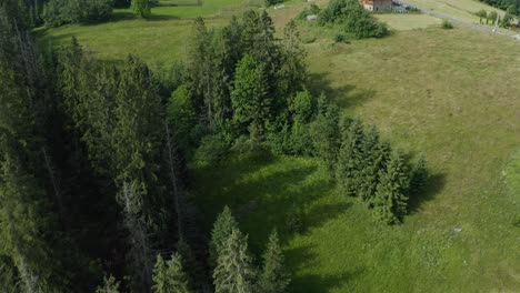 drone aerial top down onto traditional village houses with alpine mountains backdrop