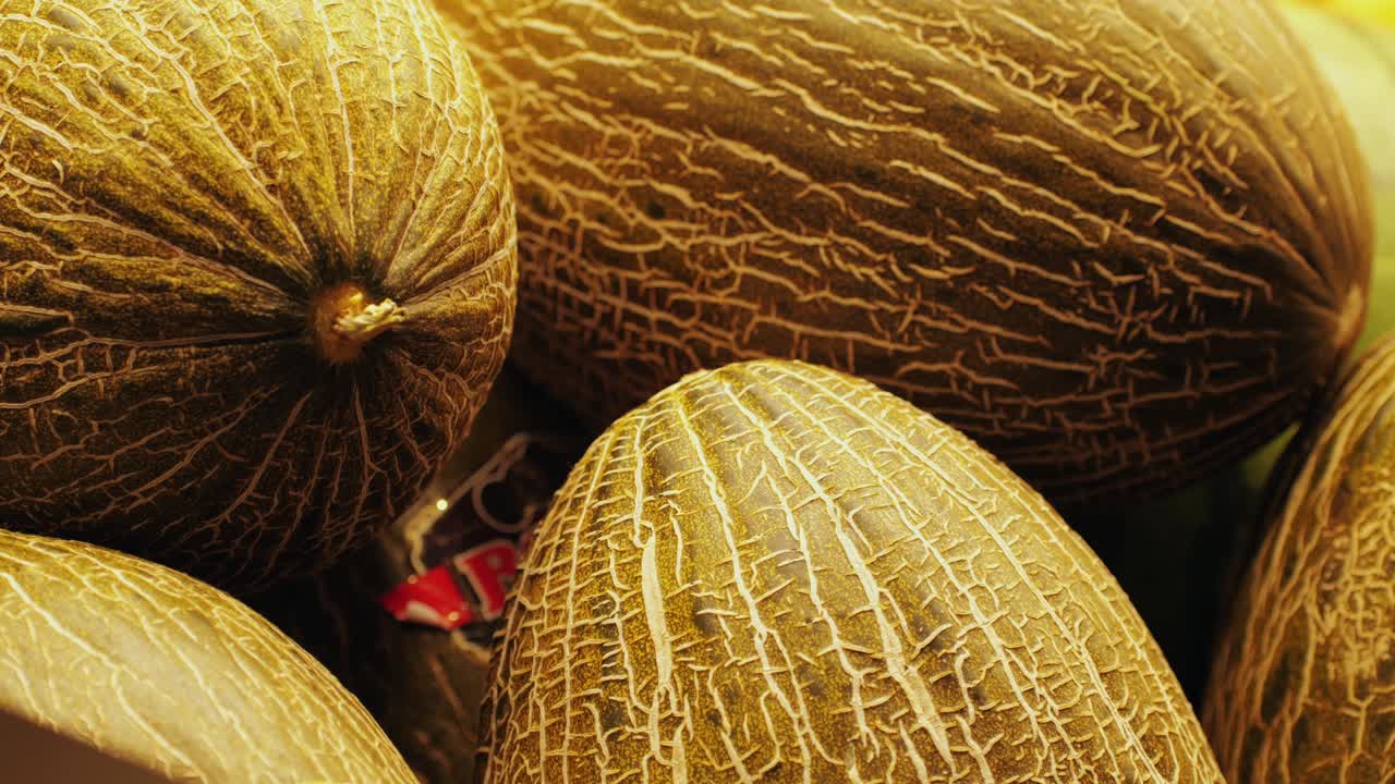 Vibrant melons are showcasing their beautifully textured skin and natural hues, ideal for farmtotable themes