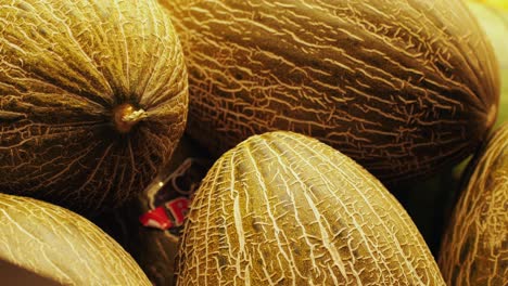 vibrant melons are showcasing their beautifully textured skin and natural hues, ideal for farmtotable themes
