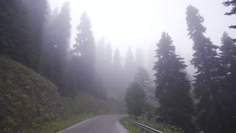 Driving-on-a-foggy-forest-road.