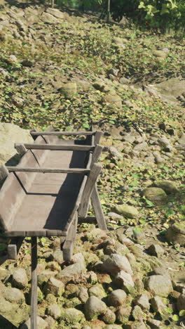 a wooden trough in a forest setting