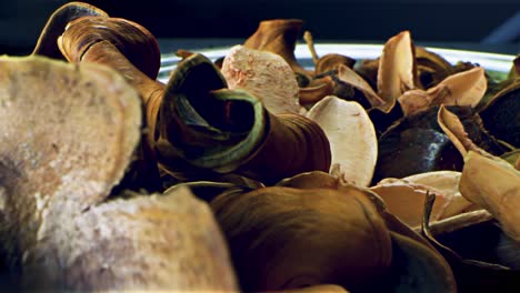 dried plant parts close-up