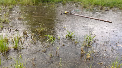 Gotas-De-Lluvia-En-La-Superficie-De-Un-Pequeño-Estanque-De-Charcos-Durante-La-Lluvia-De-Tormenta-De-Verano