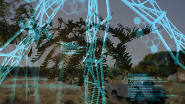 Tree branch glowing under warm sunlight showing floating 3D AR wireframe, molecular, waveform data