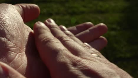 Nahaufnahme-Unbekannter-Menschlicher-Hände,-Die-Langsam-Klatschen,-Mit-Grünem-Gras-Im-Hintergrund