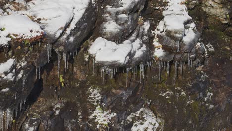 Delgados-Y-Frágiles-Carámbanos-Cuelgan-De-Las-Piedras-Cubiertas-De-Musgo