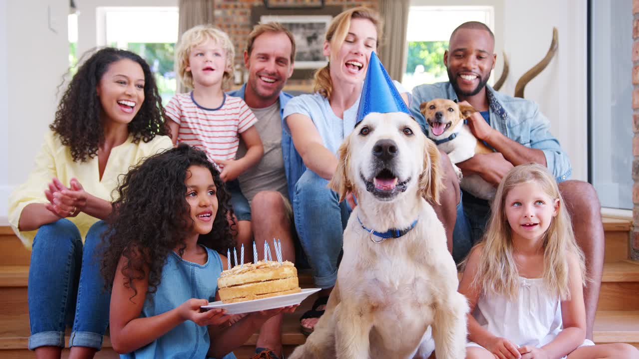 Two families celebrating a pet dogÕs birthday at home