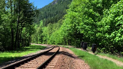 4 hikers with large crash pads walk along a dirt path next to a railroad in the forest in summer