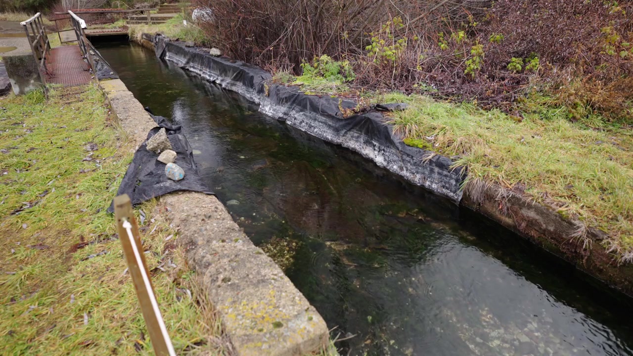 Wasserkanalsystem einer Fischzuchtanlage auf einer Forellenfarm-Aquakulturanlage in der Landschaft.