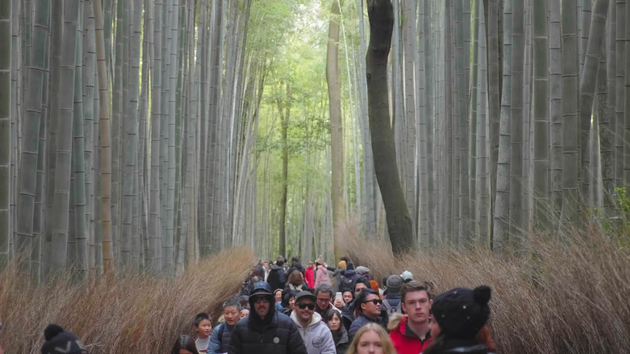 Crowds of tourists walking through the Arashiyama Bamboo Forest in Kyoto, Japan, during the holiday season