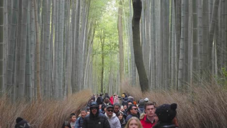 crowds of tourists walking through the arashiyama bamboo forest in kyoto, japan, during the holiday season