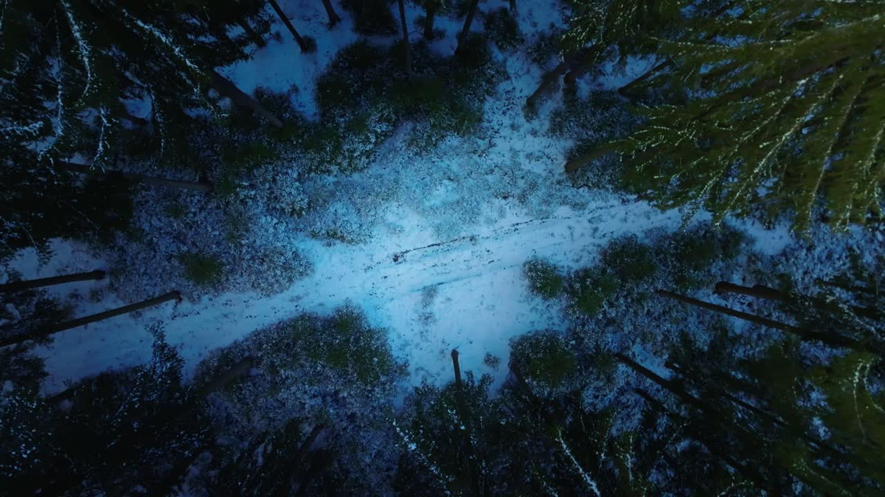 Girl walking through a snowy clearing in the forest through which daylight shines