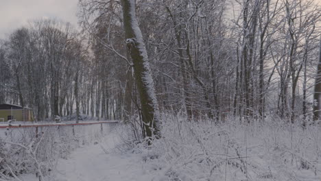 Heavy-Snow-Covering-The-Park-Surrounded-By-Trees-During-Wintertime