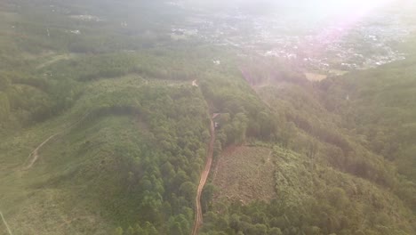 beautiful drone shot of the top of forest in the sunrise