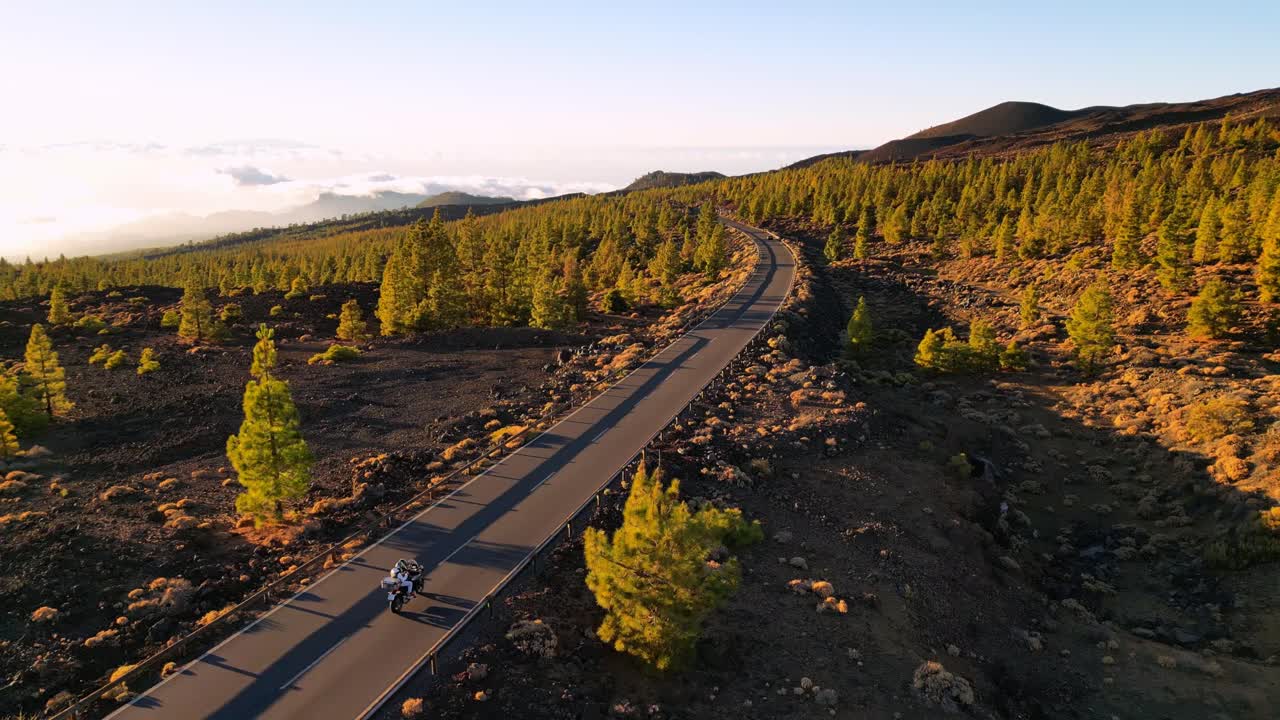 A motorcyclist carves through a winding mountain road in Tenerife, surrounded by volcanic terrain and pine trees. Captured at golden hour with cinematic aerial precision.