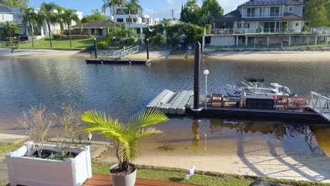 peaceful riverside scene with boats and palm trees