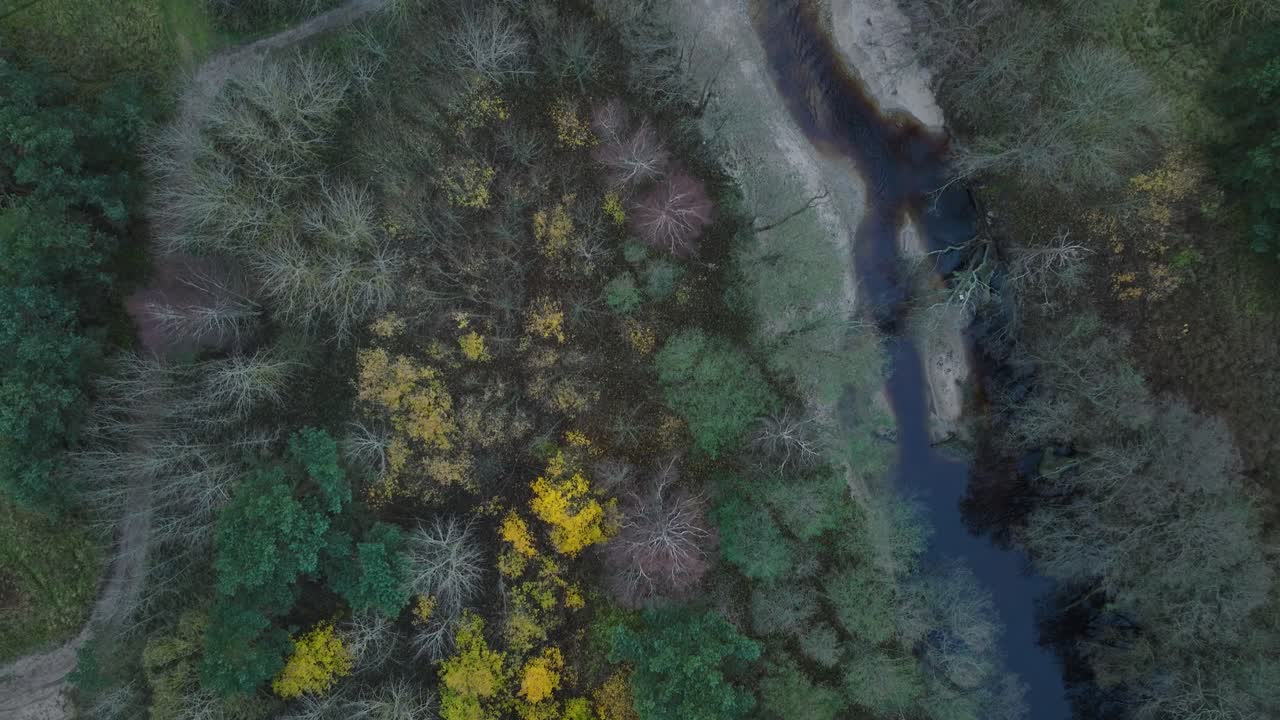 Aerial establishing view of a small dark river flowing into the Baltic sea near Liepaja , white sand beach, overcast autumn day, wide birdseye drone shot moving forward