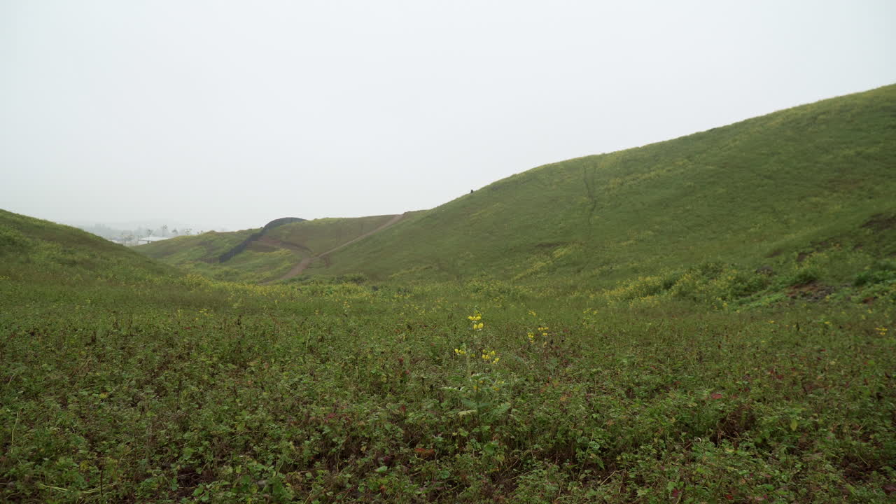 lomas de manzano, pachacamac, lima, peru에 있는 풀밭의 왼쪽에서 오른쪽으로 패닝