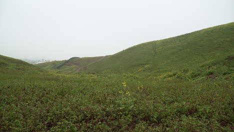 panning left to right shot of a grassy field in lomas de manzano, pachacamac, lima, peru