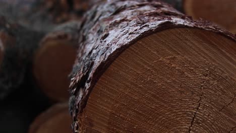 an extreme closeup of cut logs with sawmarks rings and bark