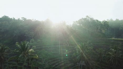 Tiro-De-Drone-Volando-A-Través-De-Un-Corazón-Sobre-Las-Terrazas-De-Arroz-De-Tegalalang-En-Bali,-Indonesia