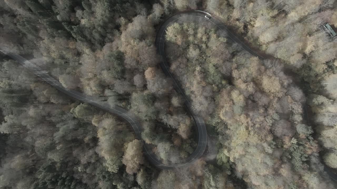 Kleurovergang van zwart-wit naar herfstkleurige bomen en een dubbel gebogen weg in het herfstseizoen.