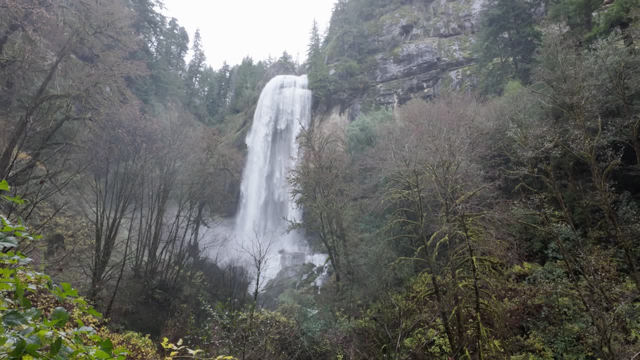 estados unidos, o, coos bay, silver falls, 2024-11-24 - cascada en el área natural del estado de golden y silver falls después de fuertes lluvias