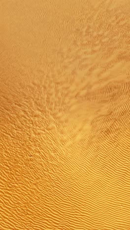 golden sand dunes in gran canaria showcase stunning natural patterns