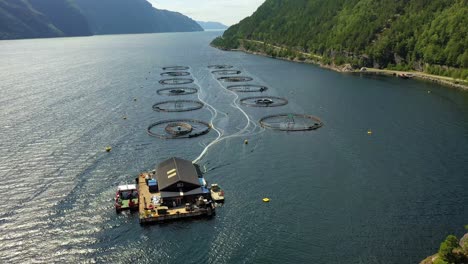 aerial footage farm salmon fishing in norway