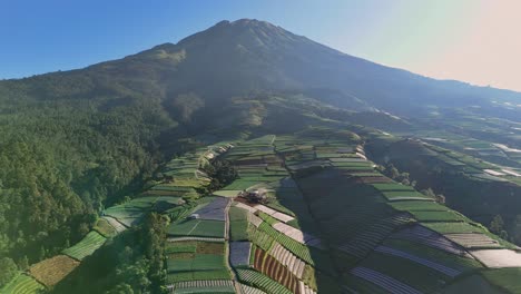 Aerial-view-of-vegetableAerial-view-of-vegetable-plantation-on-the-mount-Sumbing