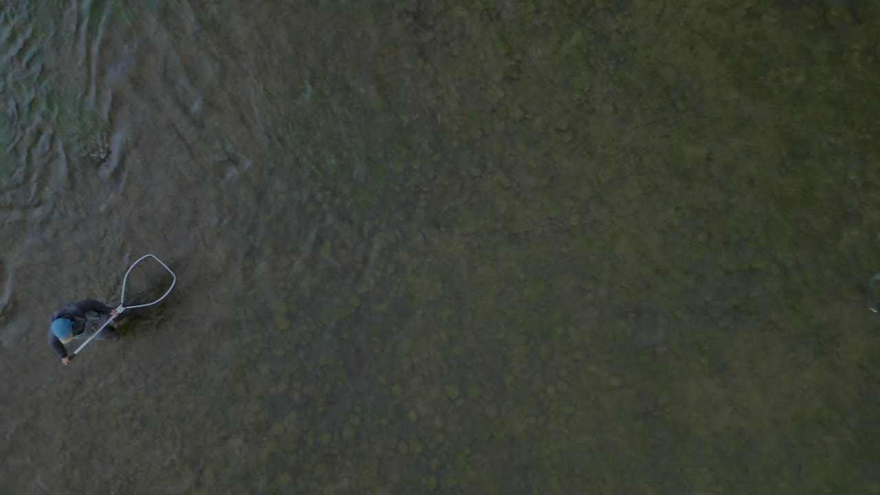 비행기 시이 큰 무지개 오징어를 잡으려고 하는 드론 영상