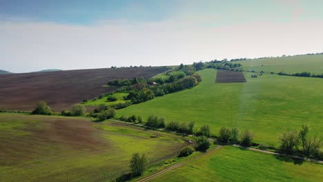 Aerial-vie-with-the-drone-flying-forward-towards-a-settlement