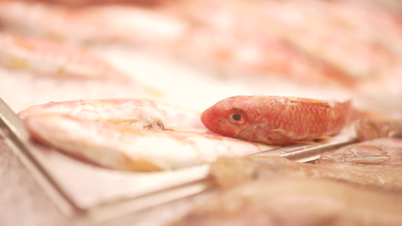 Fresh Fish on Ice Display at Market