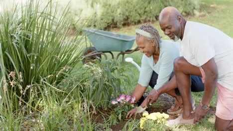 Feliz-Pareja-De-Ancianos-Afroamericanos-Haciendo-Jardinería-En-Un-Jardín-Soleado,-Cámara-Lenta