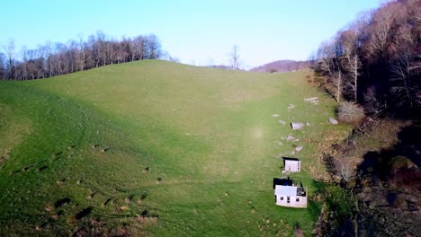 Steep-Hillside-Watauga-County-NC,-Cattle-Pasture