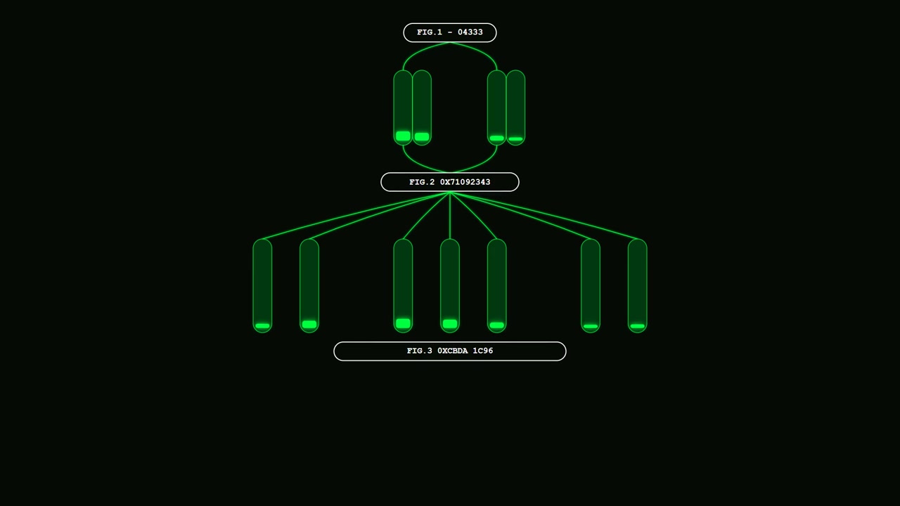 Digital Data Flow Visualization with Hierarchical Node Connections