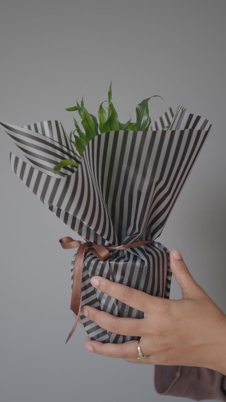 Mano che tiene una pianta in vaso incartata come regalo