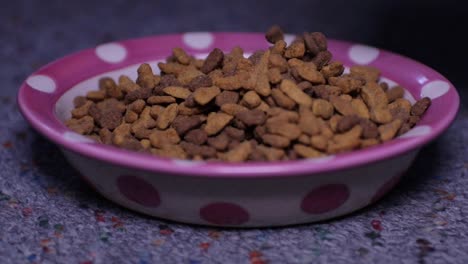 close up of a bowl while cat food pours into it