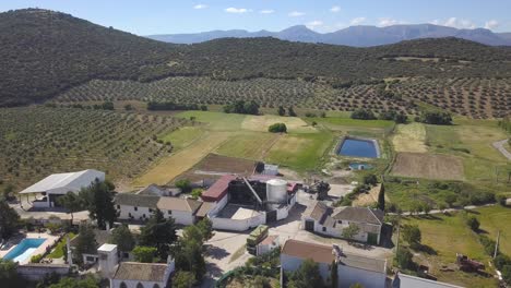 Aerial-view-of-a-rural-town-with-an-oil-factory-in-the-south-of-Spain